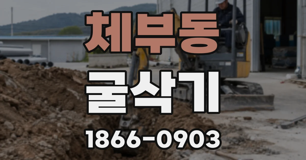 체부동 굴삭기