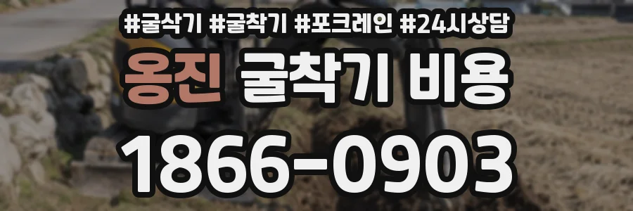 옹진 굴착기 비용