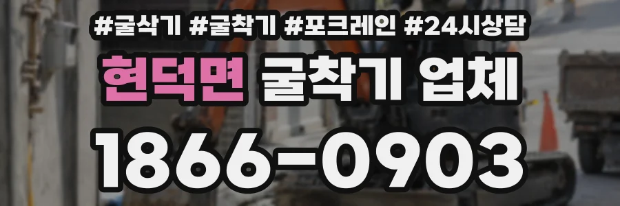 현덕면 굴착기 업체