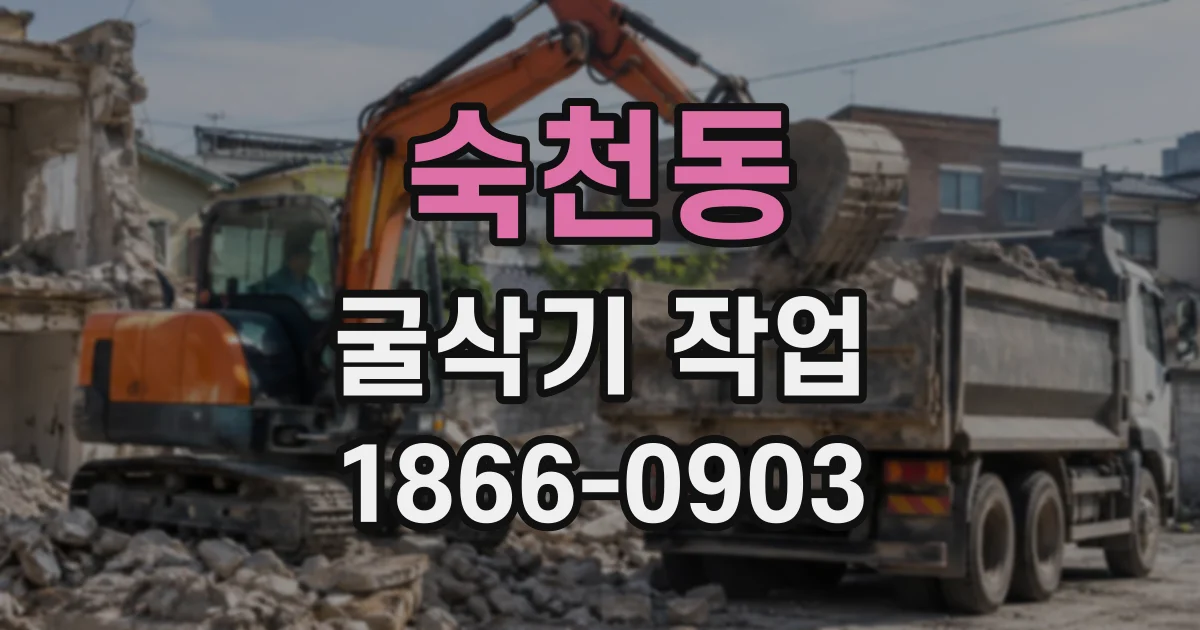 숙천동 굴삭기작업