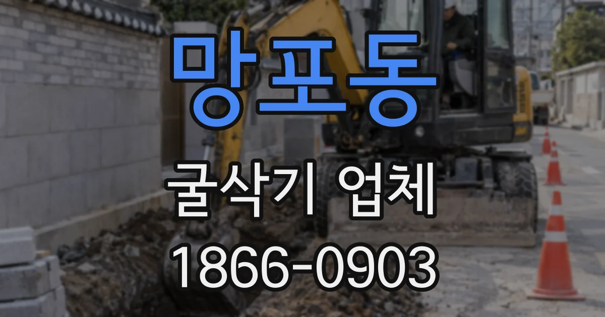 망포동 굴삭기 업체