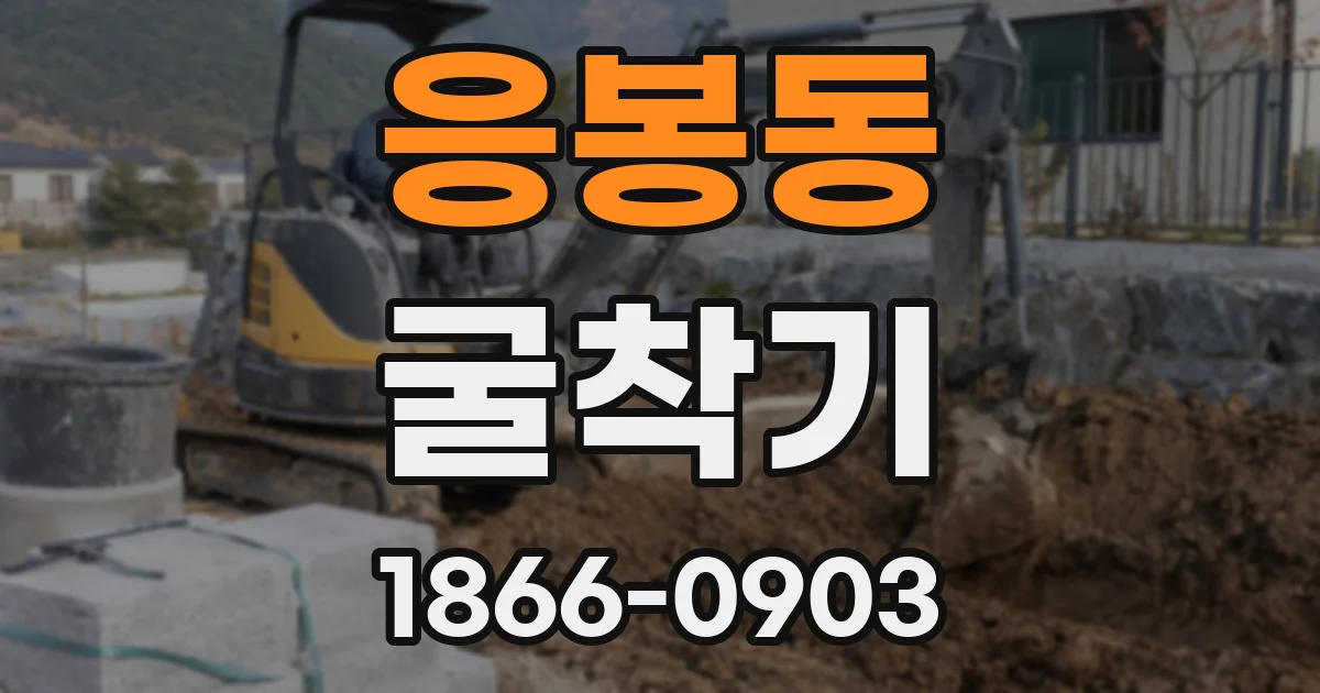 응봉동 굴착기