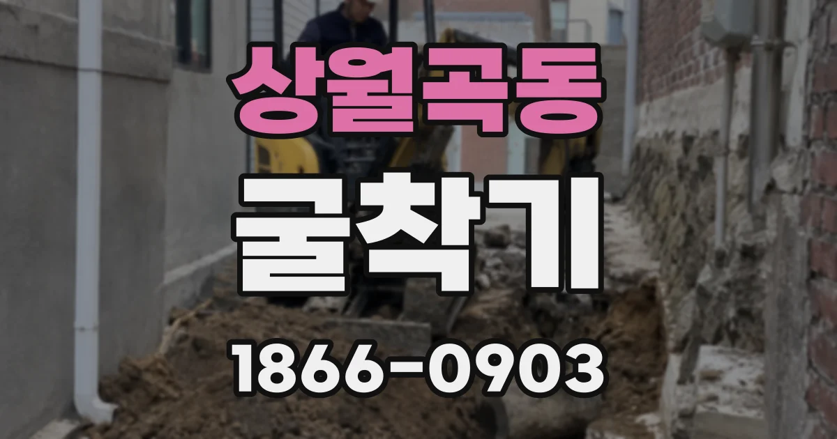 상월곡동 굴착기