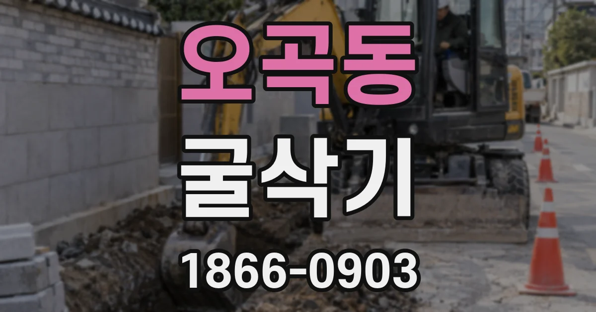 오곡동 굴삭기