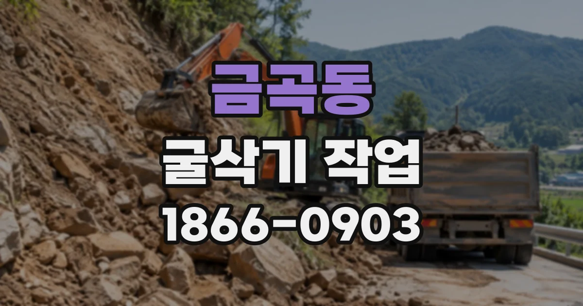 금곡동 굴삭기작업