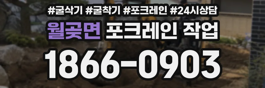 월곶면 포크레인 작업