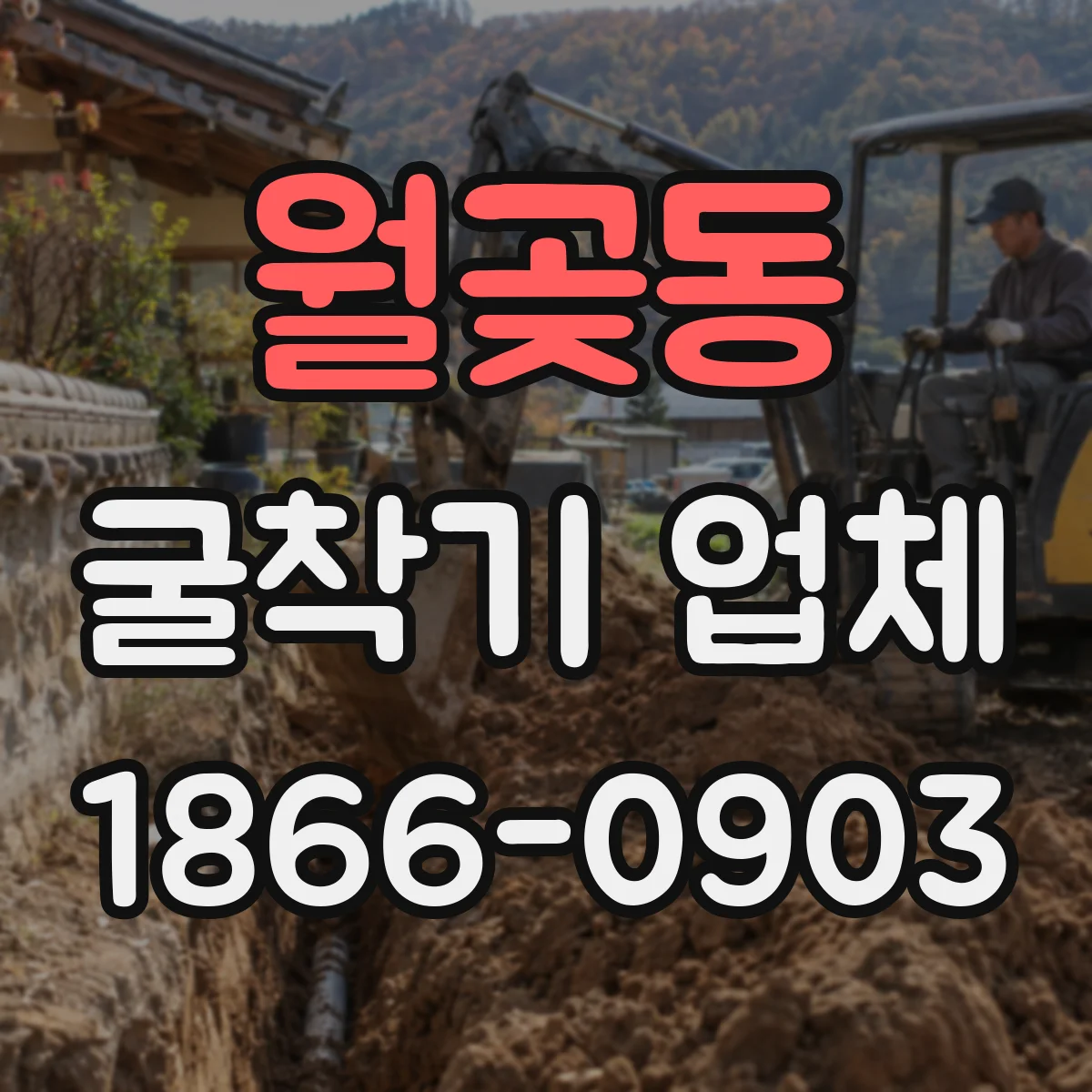월곶동 굴착기 업체