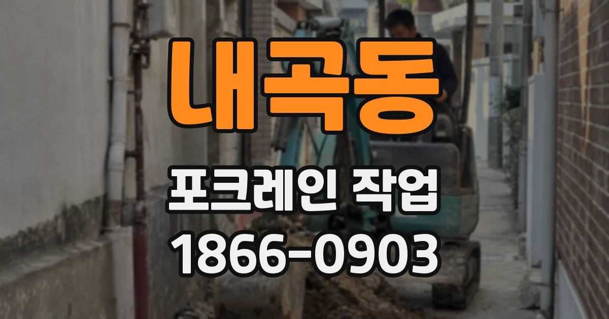 내곡동 포크레인 작업