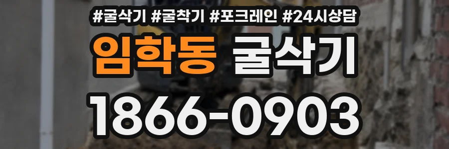임학동 굴삭기