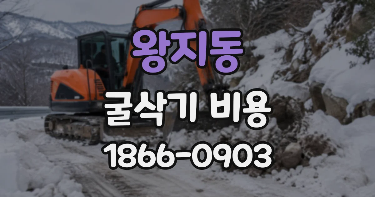 왕지동 굴삭기비용