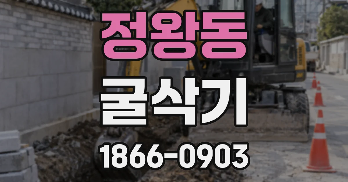 정왕동 굴삭기