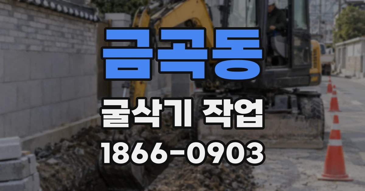 금곡동 굴삭기 작업