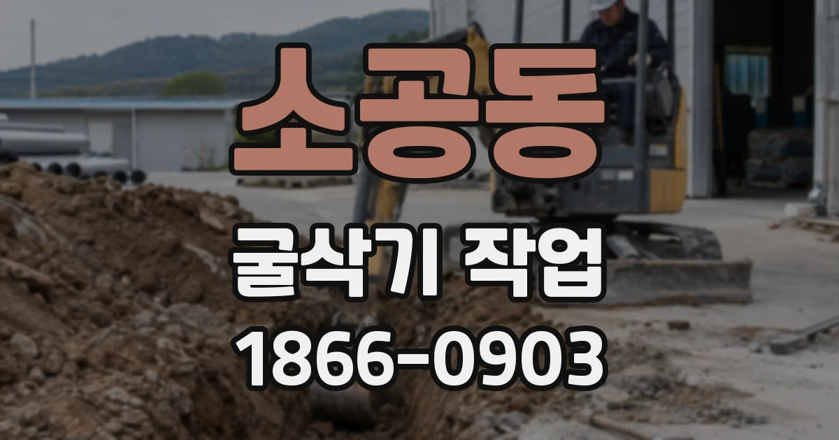 소공동 굴삭기 작업
