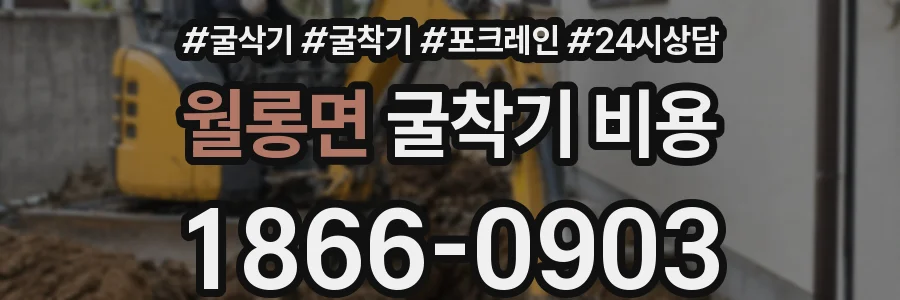 월롱면 굴착기 비용