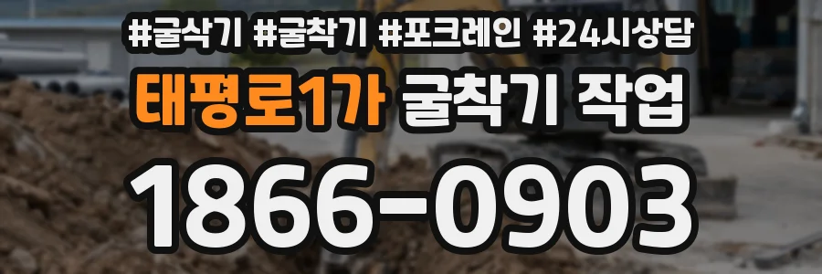 태평로1가 굴착기 작업
