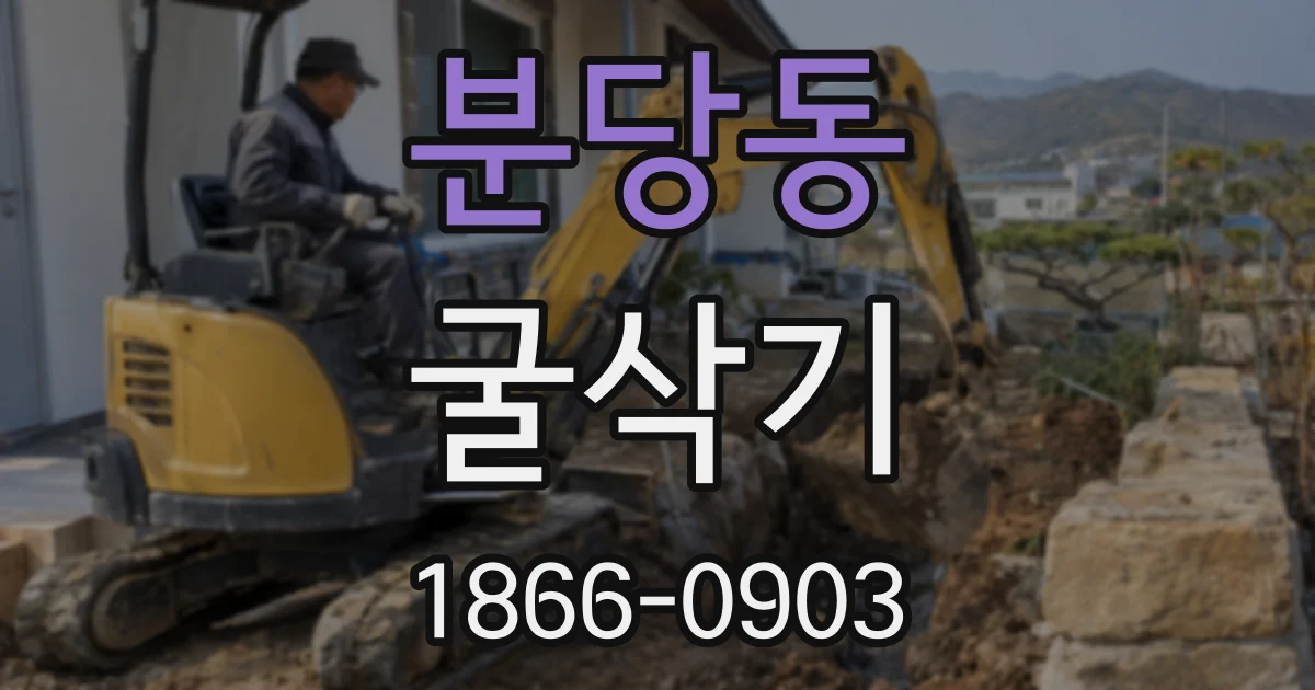 분당동 굴삭기