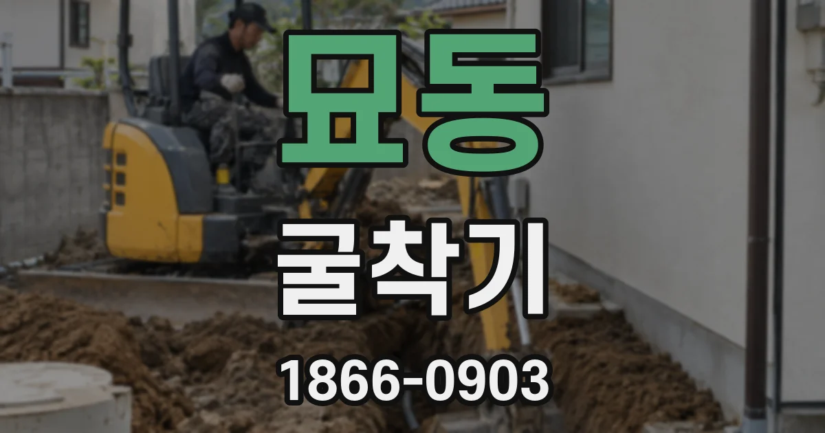 묘동 굴착기