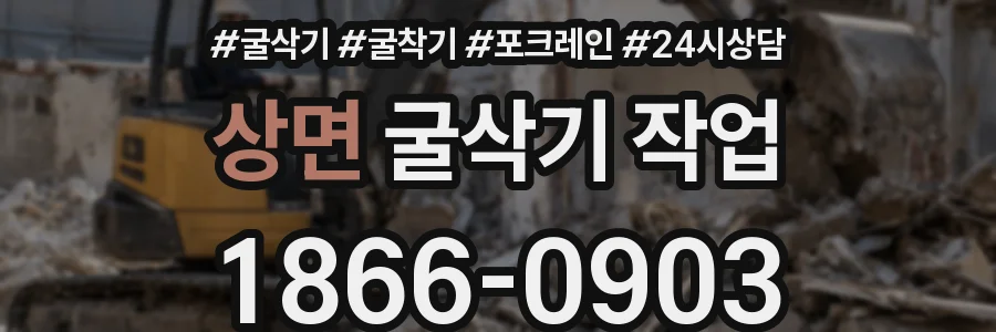 상면 굴삭기 작업
