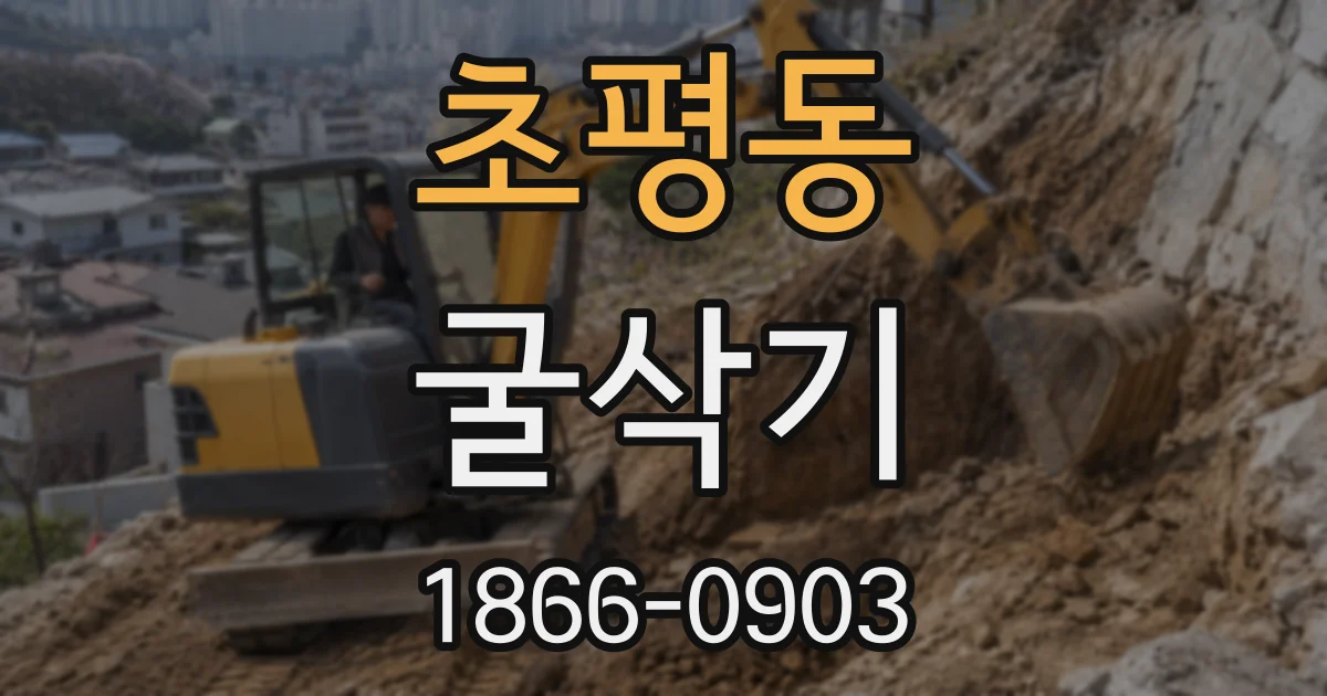 초평동 굴삭기
