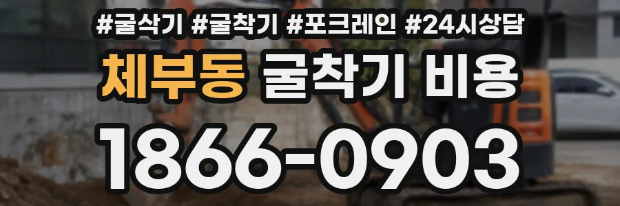체부동 굴착기 비용