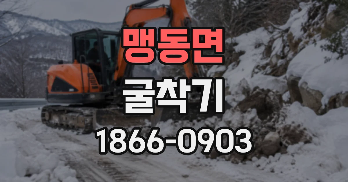 맹동면 굴착기