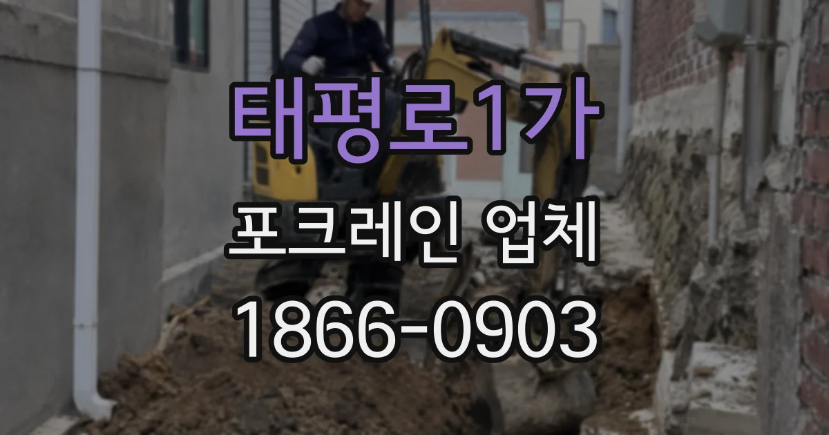 태평로1가 포크레인 업체