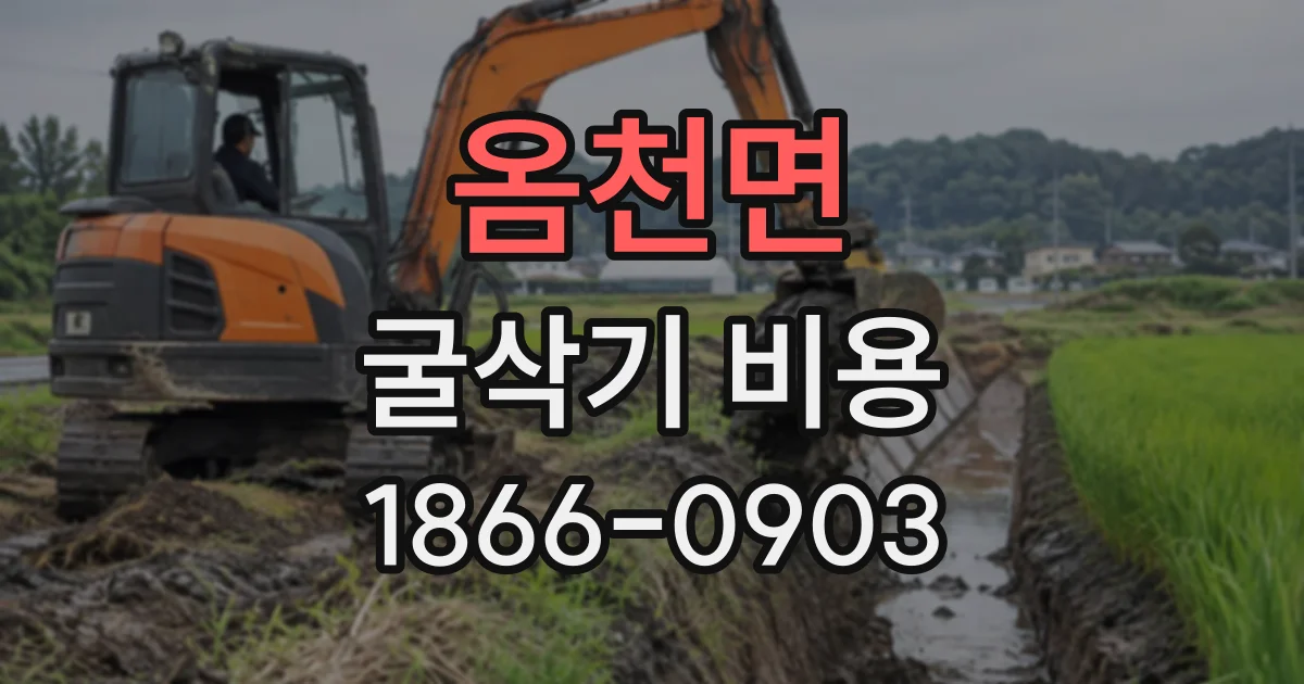 옴천면 굴삭기비용
