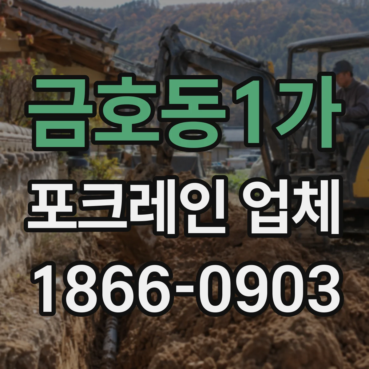 금호동1가 포크레인 업체
