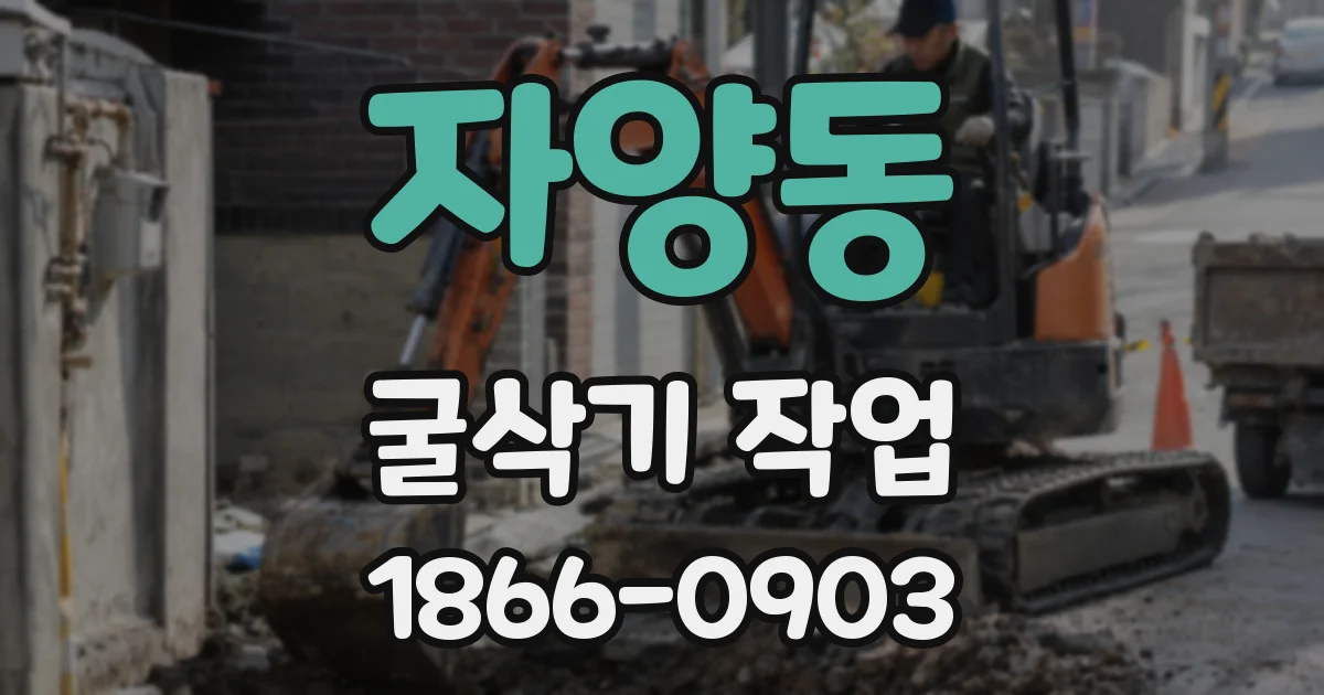 자양동 굴삭기 작업