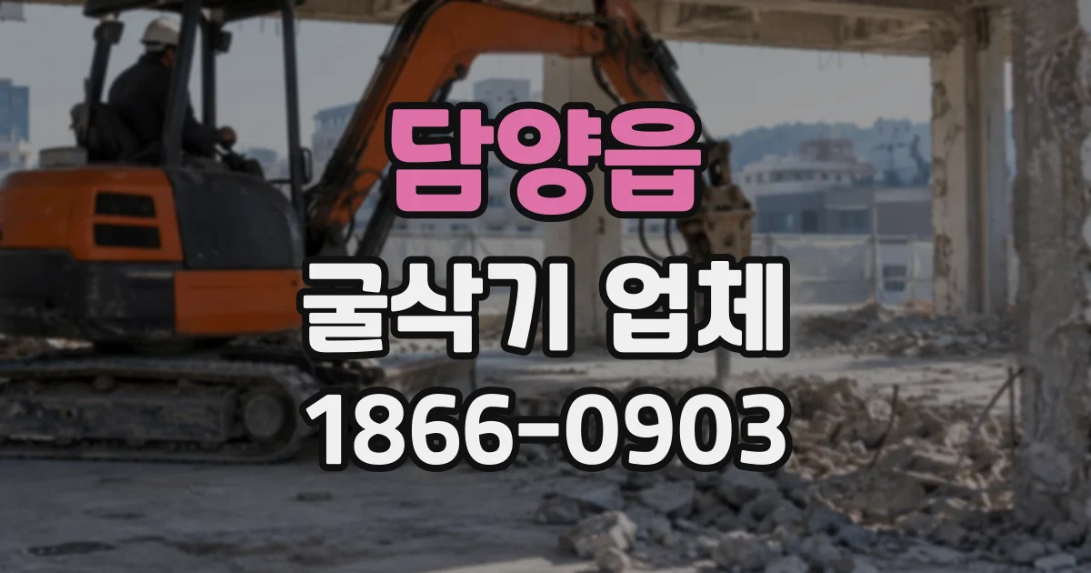 담양읍 굴삭기업체