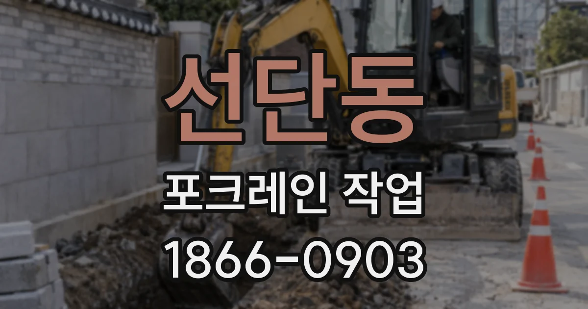 선단동 포크레인 작업