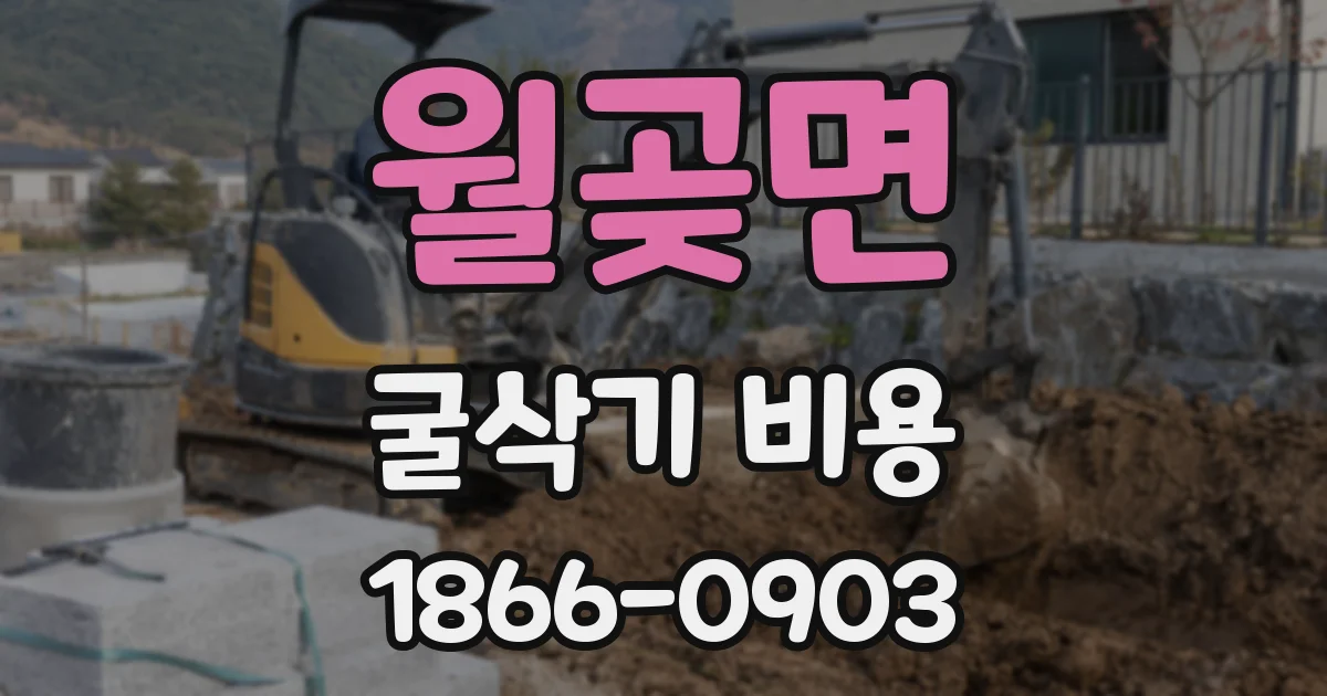 월곶면 굴삭기 비용