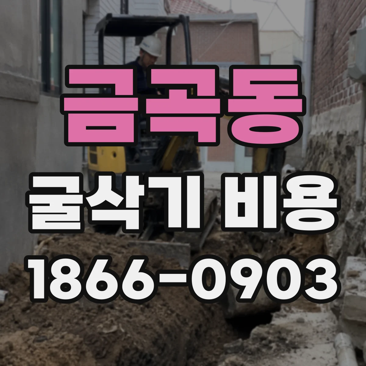 금곡동 굴삭기 비용
