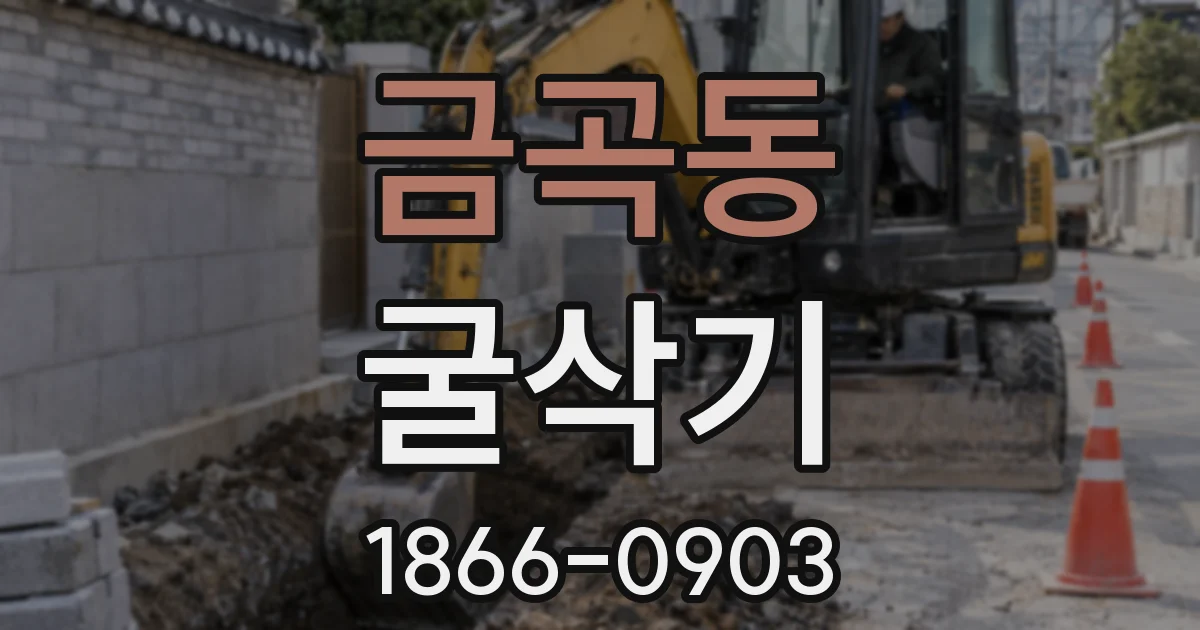금곡동 굴삭기