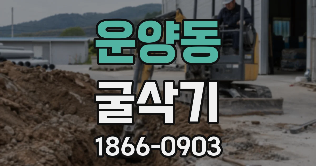 운양동 굴삭기