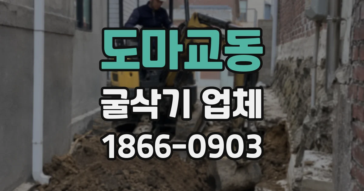 도마교동 굴삭기 업체