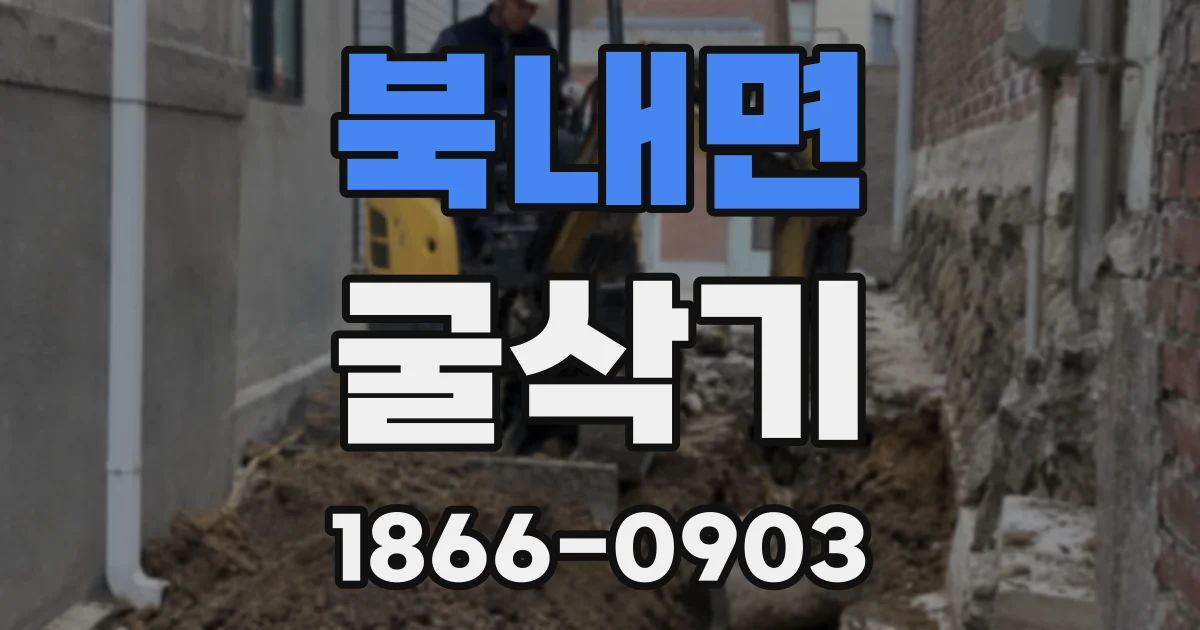 북내면 굴삭기