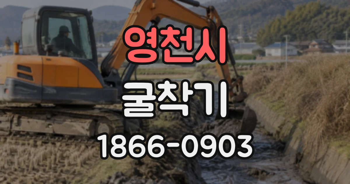 영천시 굴착기