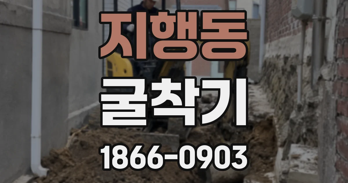 지행동 굴착기