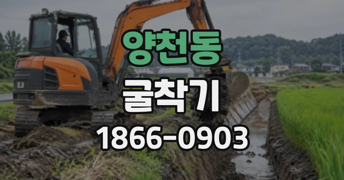 양천동 굴착기