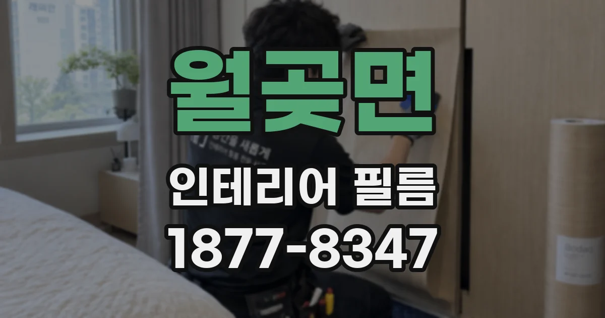 월곶면 인테리어 필름