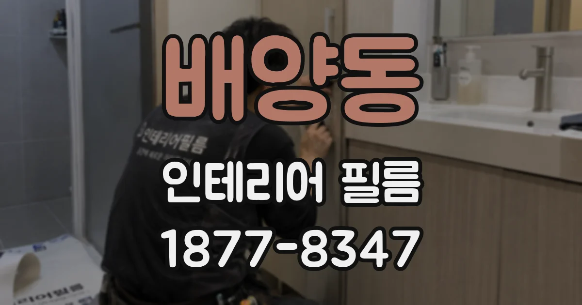 배양동 인테리어 필름