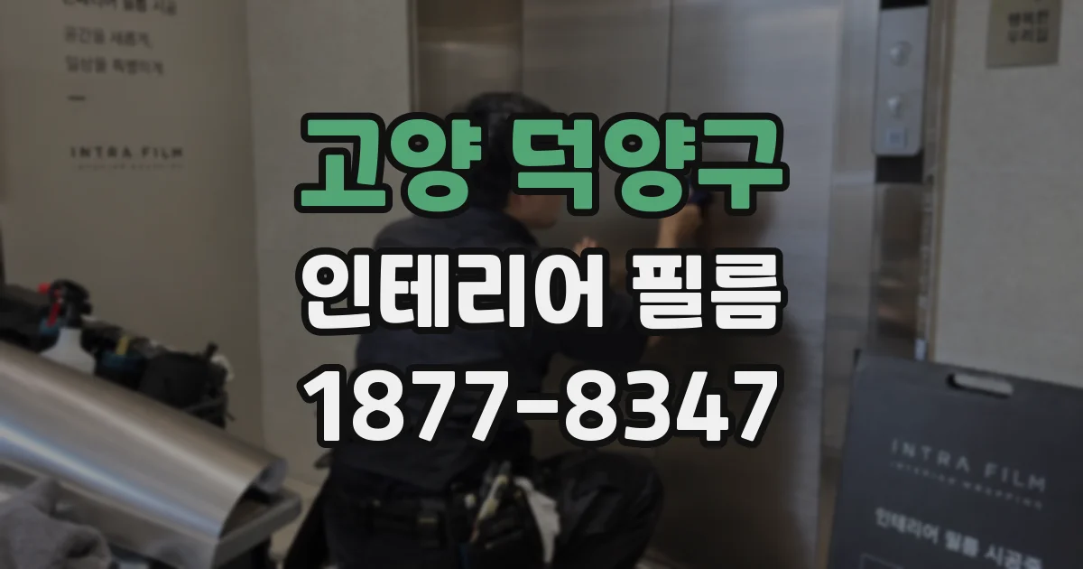 고양 덕양구 인테리어 필름