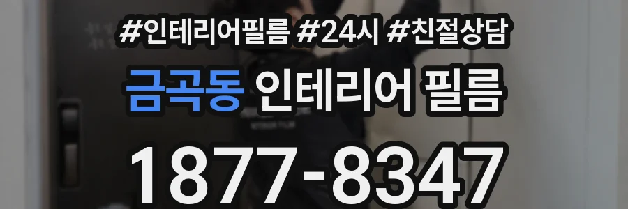 금곡동 인테리어 필름