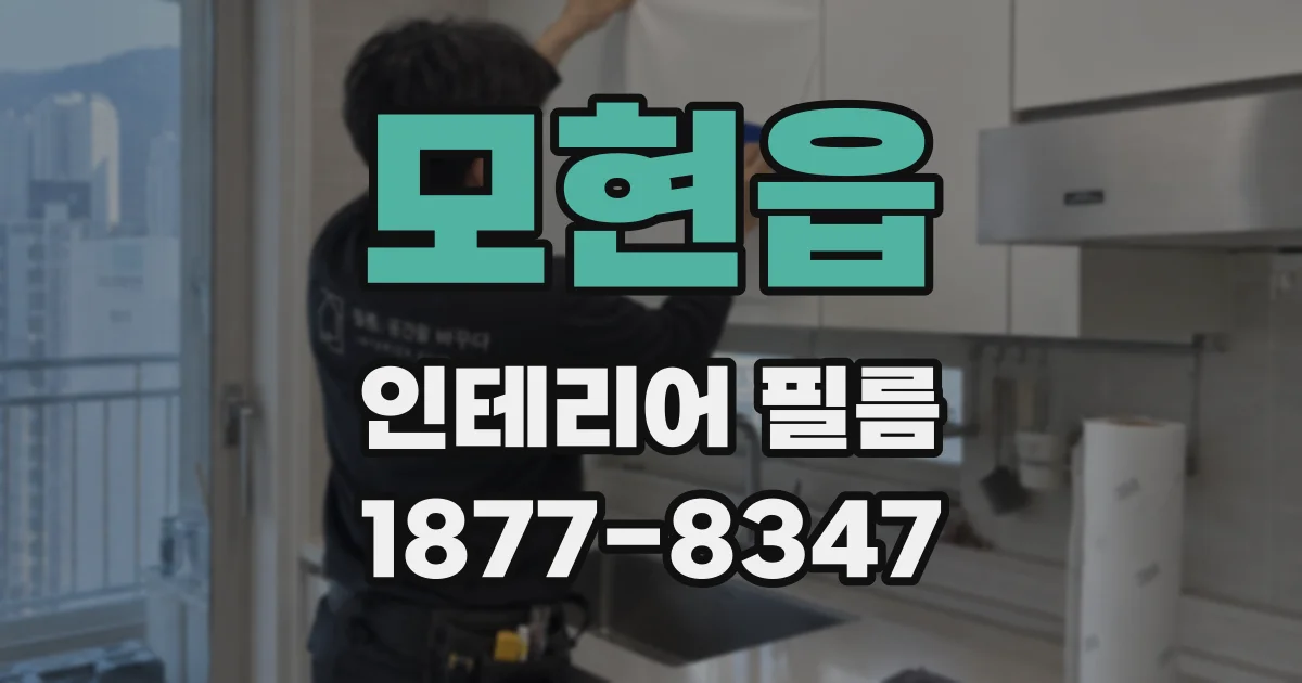 모현읍 인테리어 필름