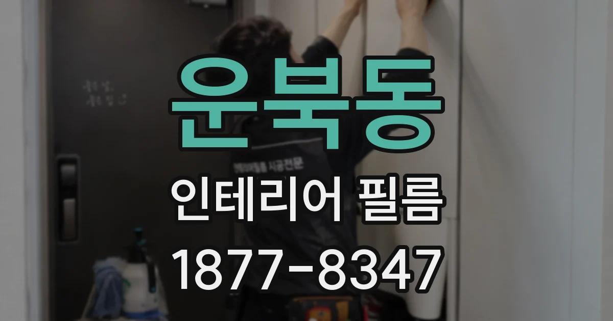 운북동 인테리어 필름