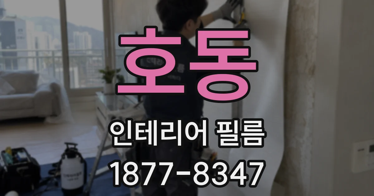 호동 인테리어 필름