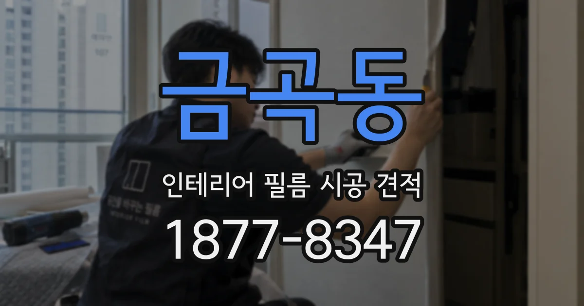금곡동 인테리어 필름 시공 견적