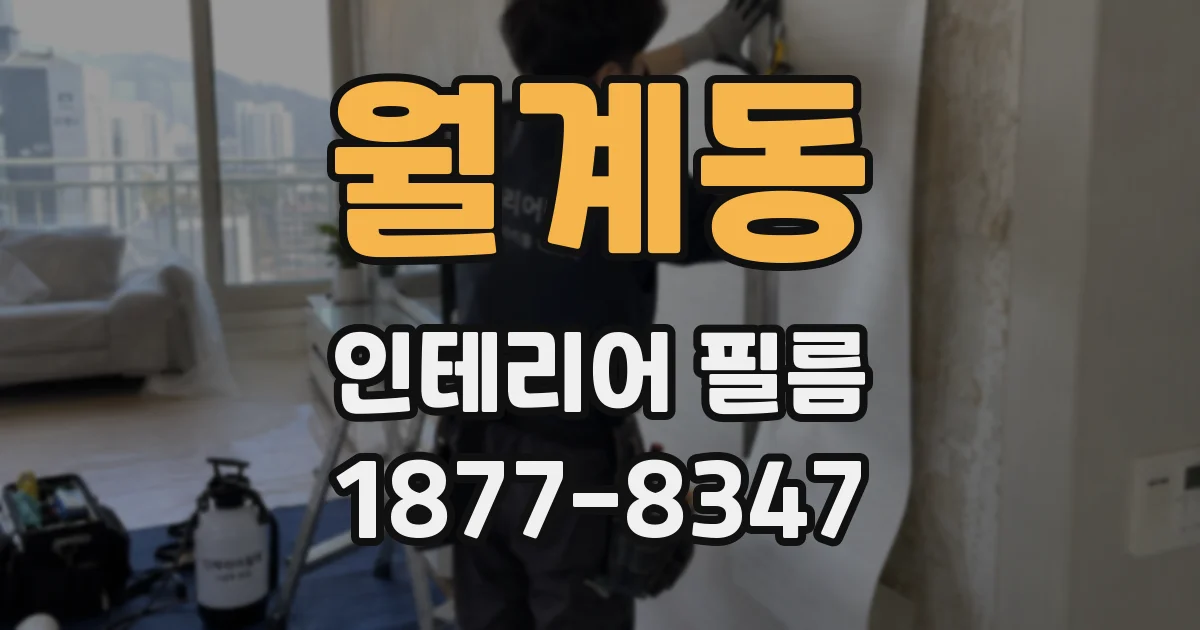 월계동 인테리어 필름