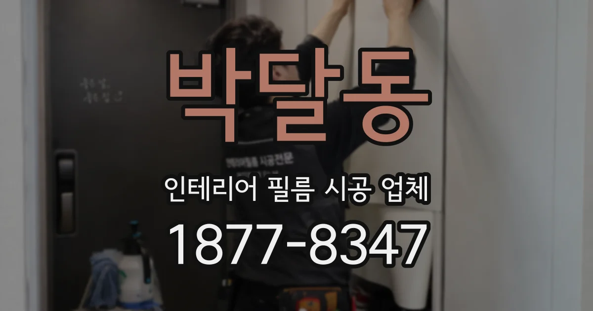 박달동 인테리어 필름 시공 업체